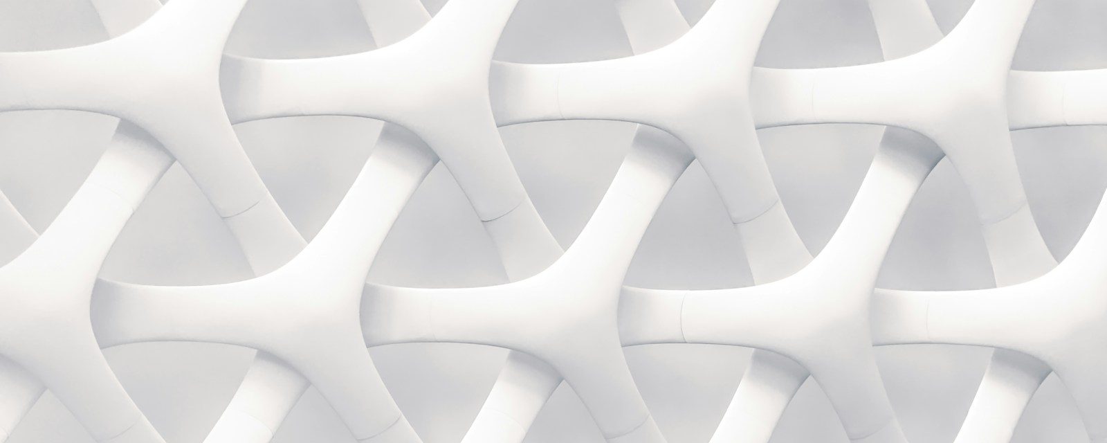 white and gray optical illusion
